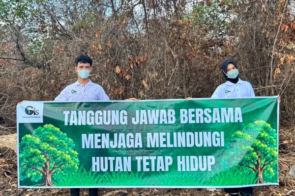 foto hutan 2