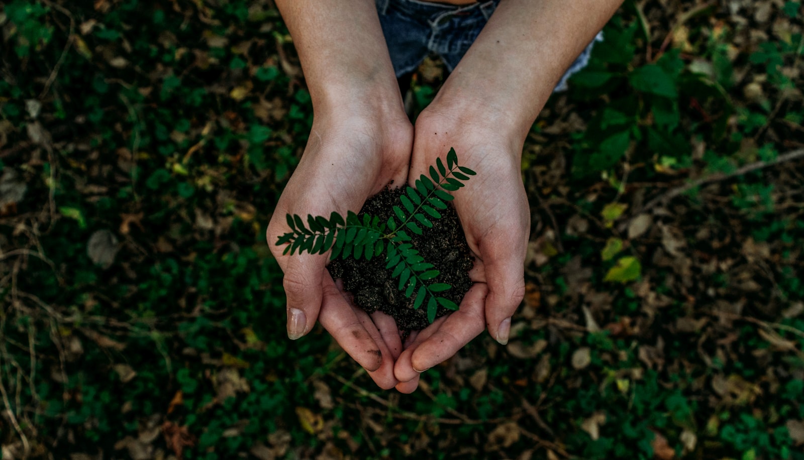 Biodiversity Warriors: Pelibatan Generasi Muda Muara Enim dalam Pelindungan Flora-Fauna Endemik